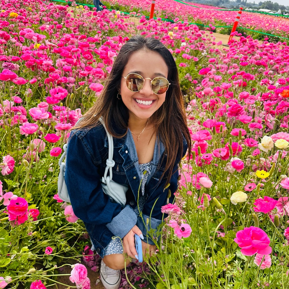 Graceful Peace: Finding Serenity in Christ's Love